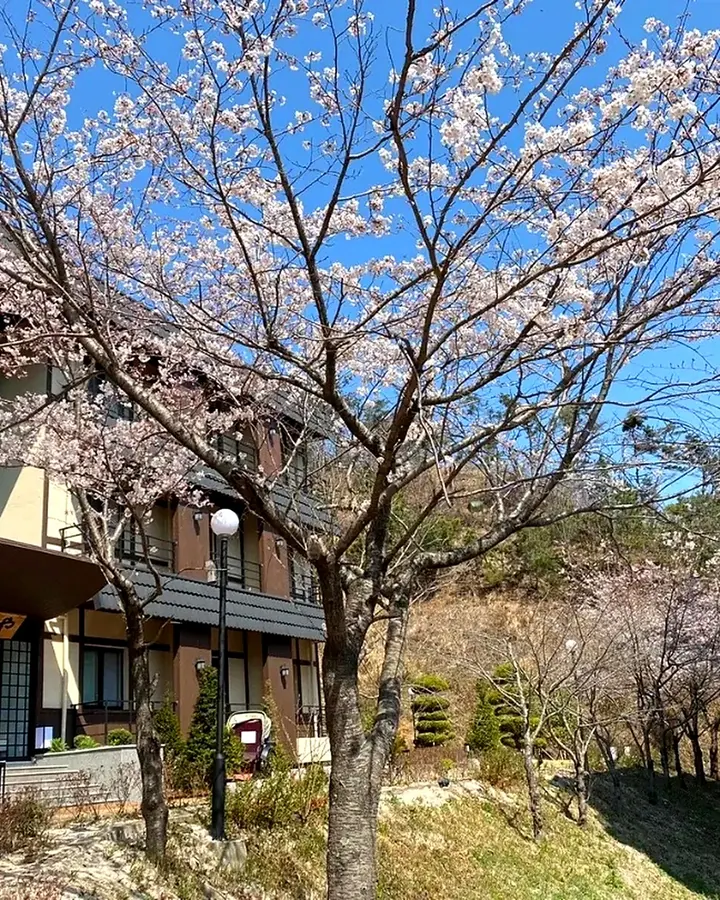토모노야 호텔&료칸 경주 사진 3