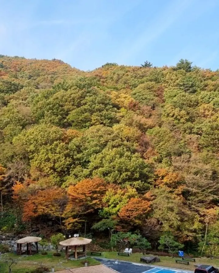 구례 준성리조트 사진 5