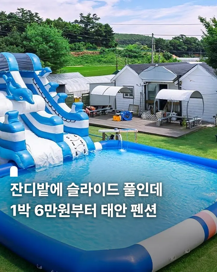 태안 파라독스애견펜션글램핑 사진 1