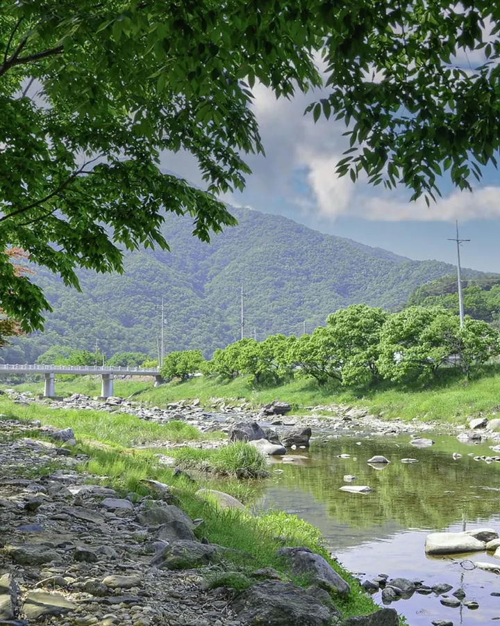 공주 투유풀빌라 사진 10