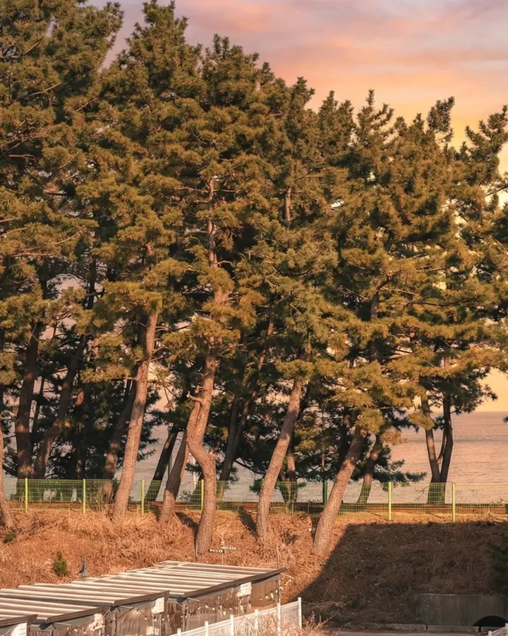삼척 라메르 펜션 사진 4