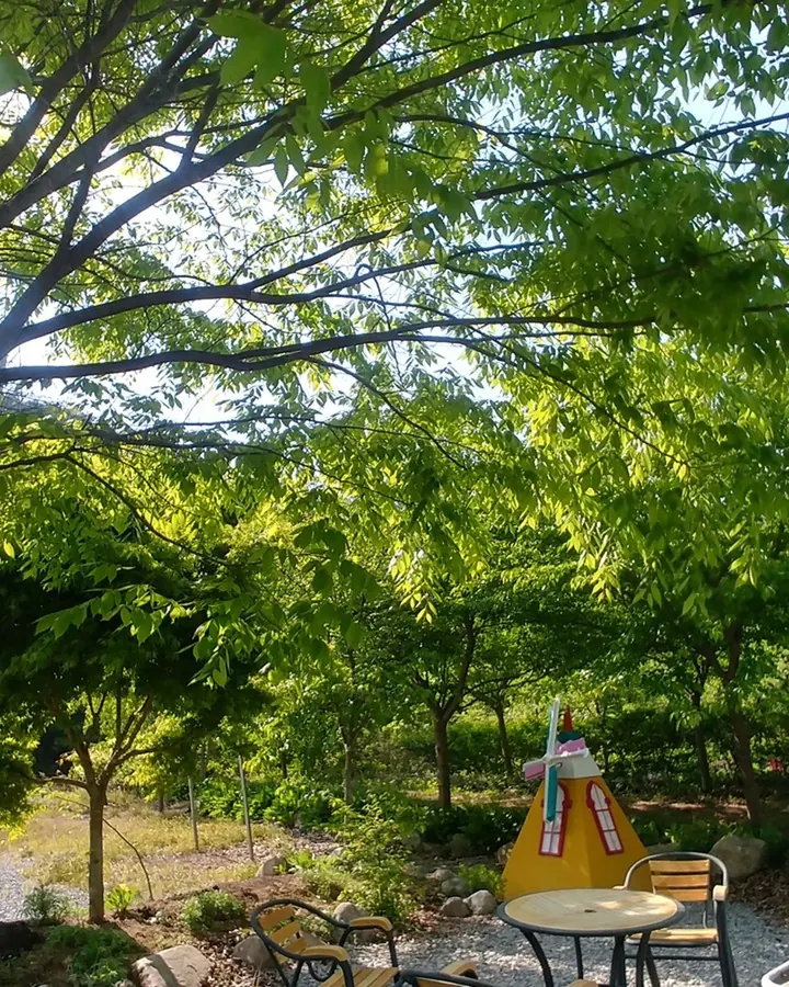 단양 슈르르까 사진 9