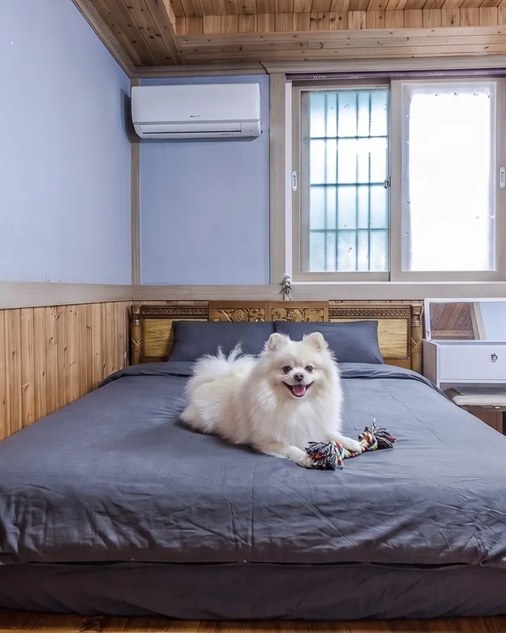 순천만 무한도전 애견동반 펜션 사진 11