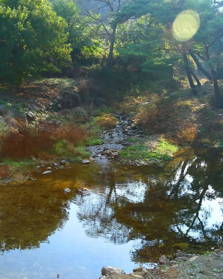 공주 마곡사힐링펜션 사진 7