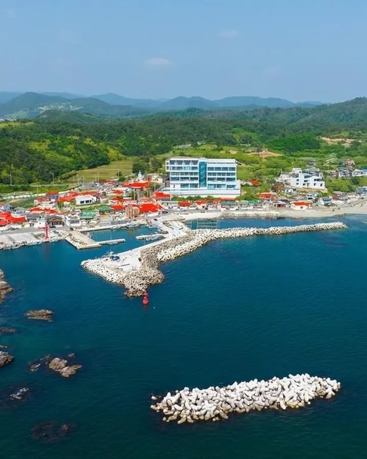 포항 마담아네뜨풀빌라 펜션 사진 2