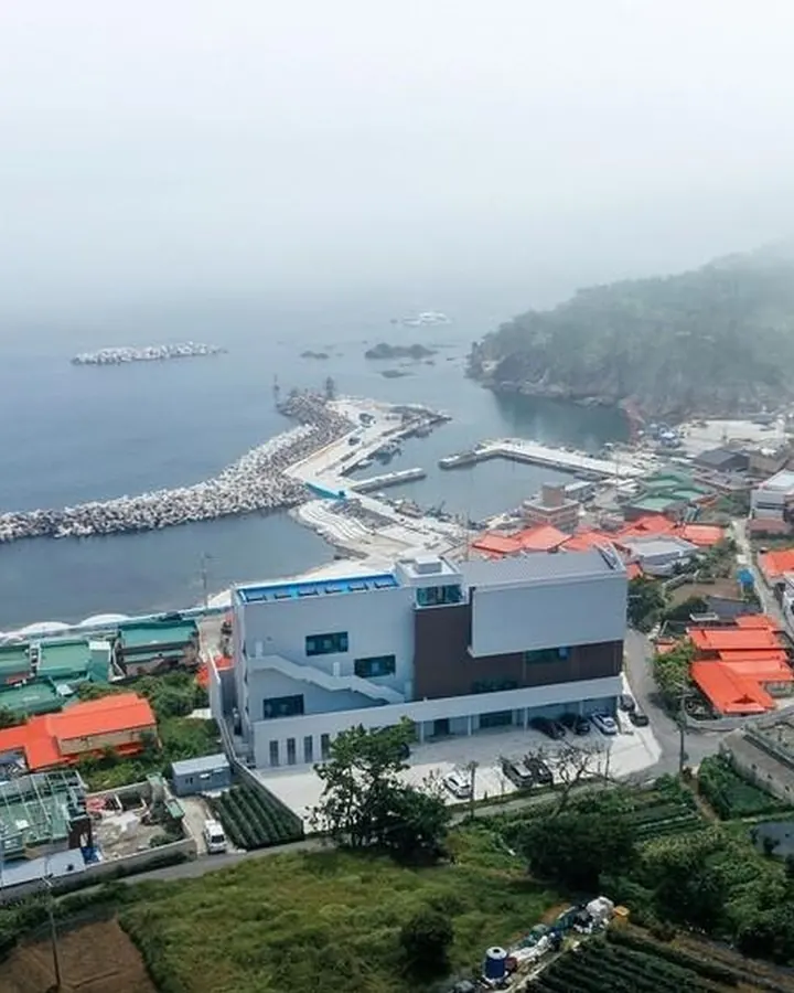 포항 마담아네뜨풀빌라 펜션 사진 9