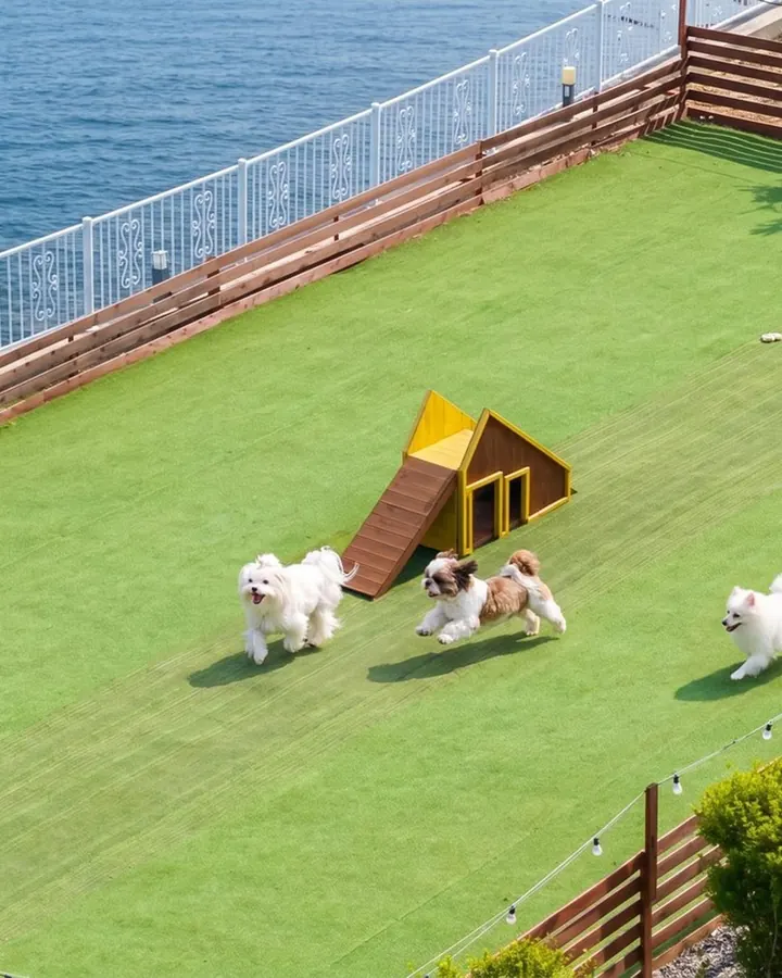 남해 씨스테이앤 애견동반 펜션 사진 14