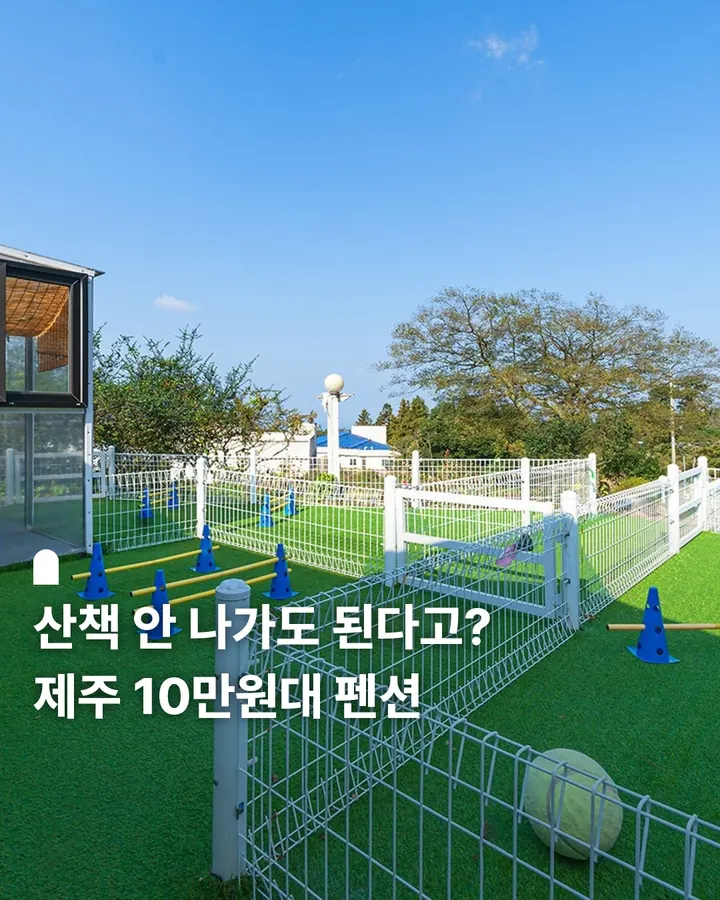 제주 댕댕이파크 리조트 사진 1
