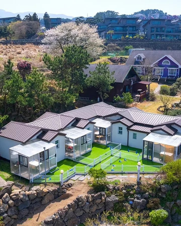 제주 댕댕이파크 리조트 사진 4