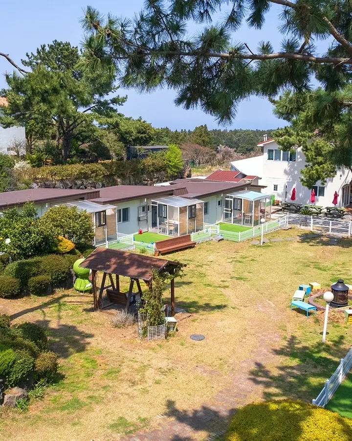 제주 댕댕이파크 리조트 사진 5