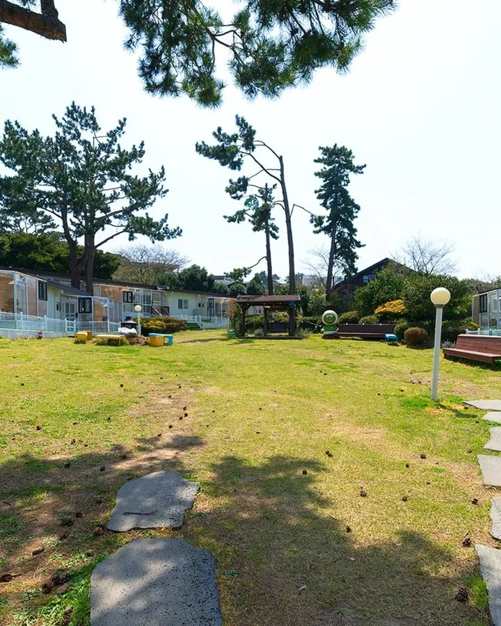 제주 댕댕이파크 리조트 사진 8