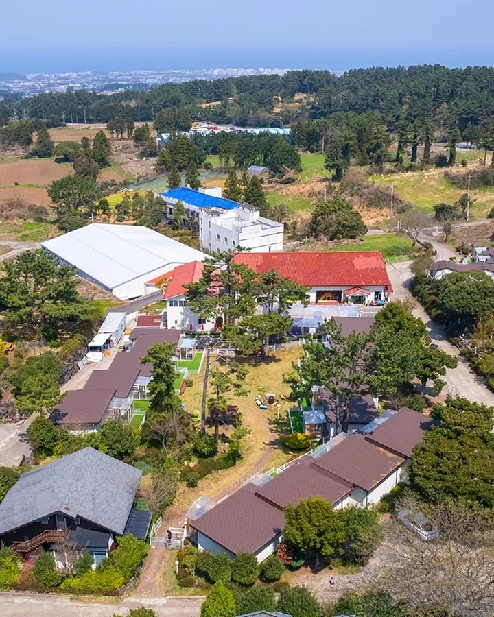 제주 댕댕이파크 리조트 사진 9