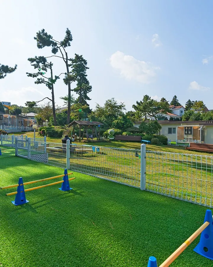 제주 댕댕이파크 리조트 사진 10