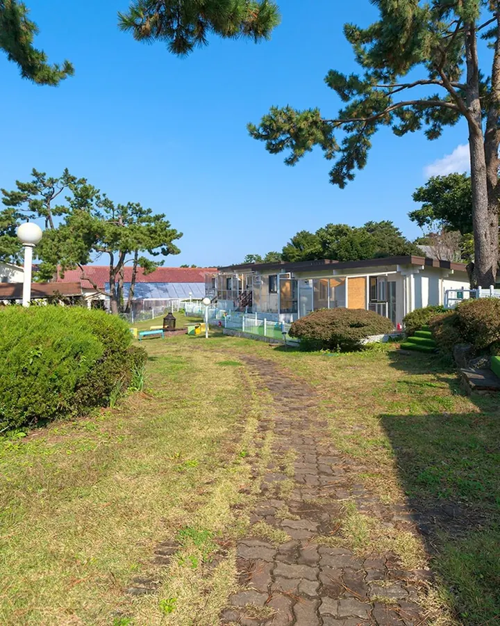 제주 댕댕이파크 리조트 사진 13