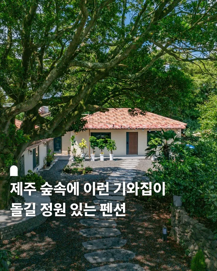 제주 영춘림 사진 1