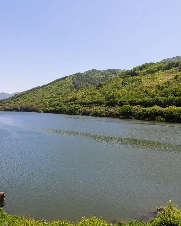 구례 지리산녹차별펜션 사진 4