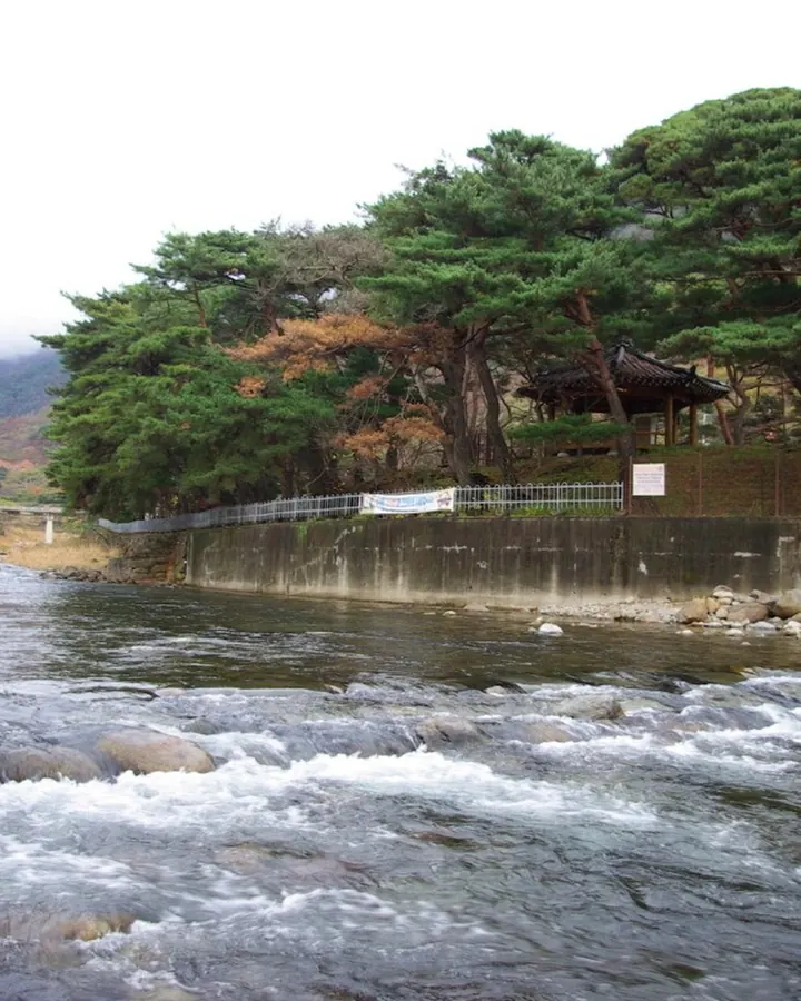 구례 지리산녹차별펜션 사진 6