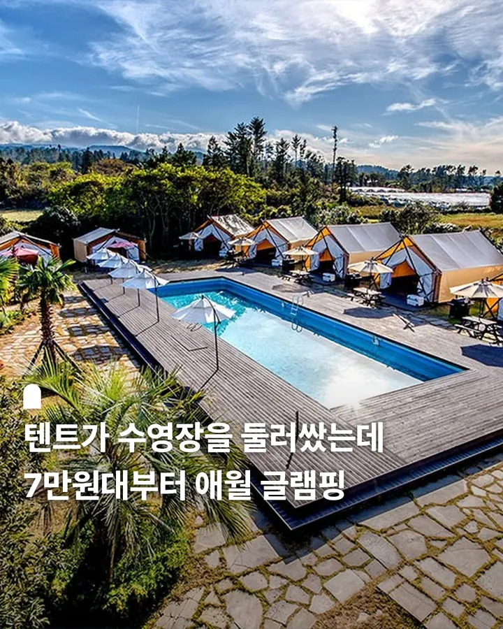 제주 에코힐글램핑 사진 1