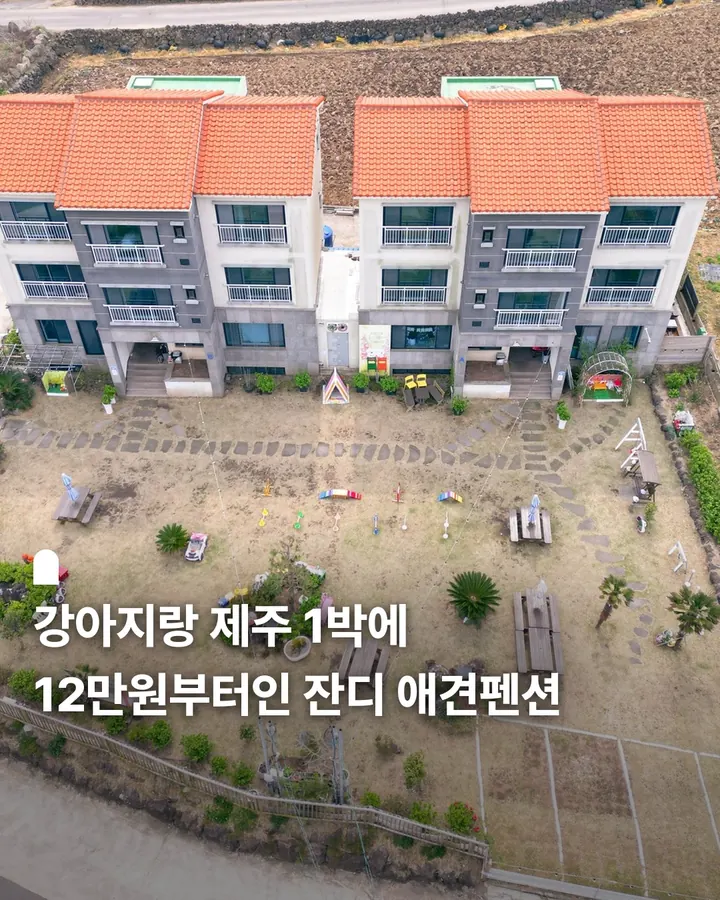제주 엔젤하우스 애견전문펜션 사진 1