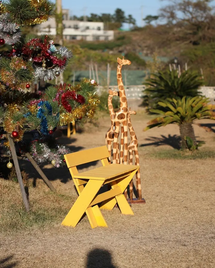 제주 엔젤하우스 애견전문펜션 사진 8