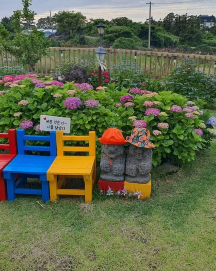 제주 엔젤하우스 애견전문펜션 사진 9