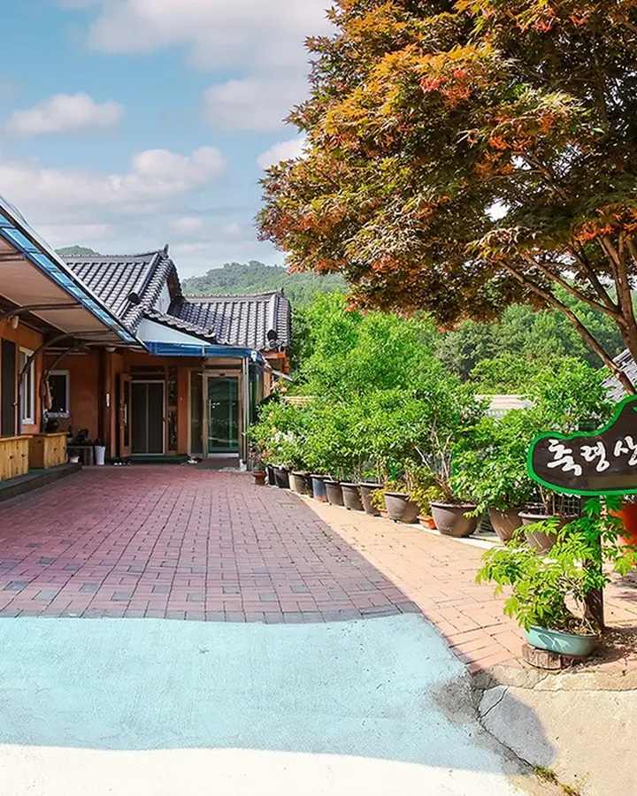 고창 축령산편백하우스펜션 사진 2