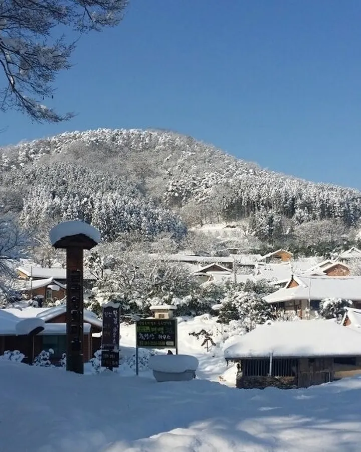 고창 축령산편백하우스펜션 사진 6