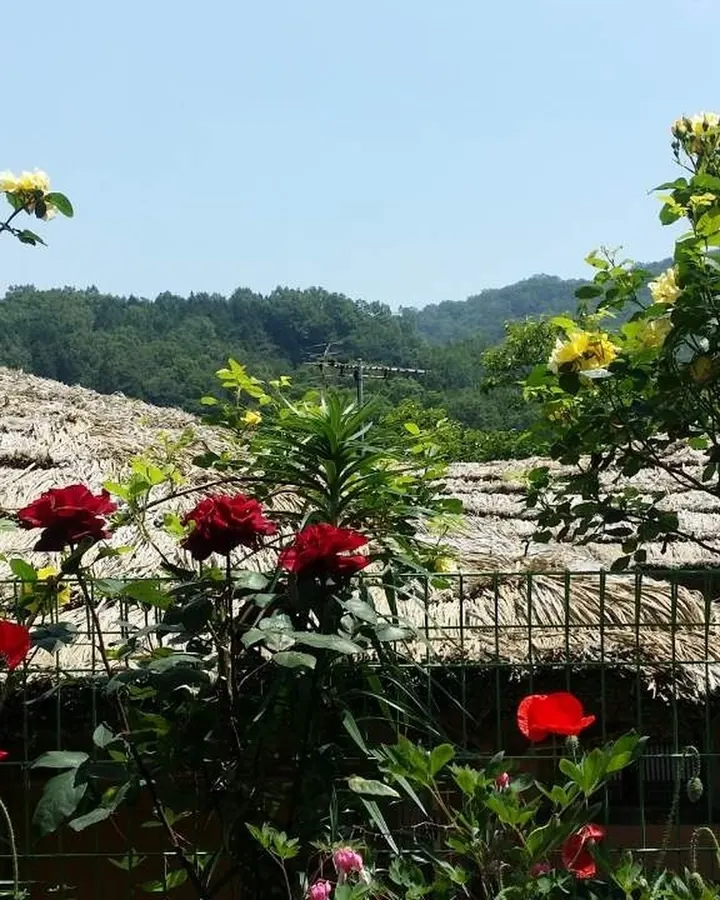 고창 축령산편백하우스펜션 사진 7