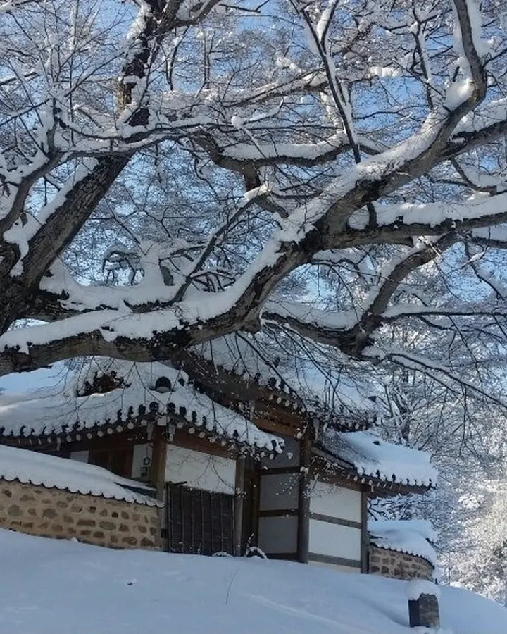고창 축령산편백하우스펜션 사진 8