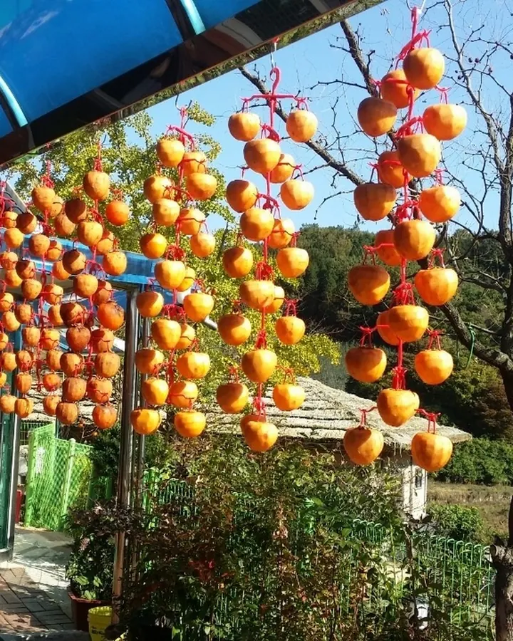 고창 축령산편백하우스펜션 사진 12