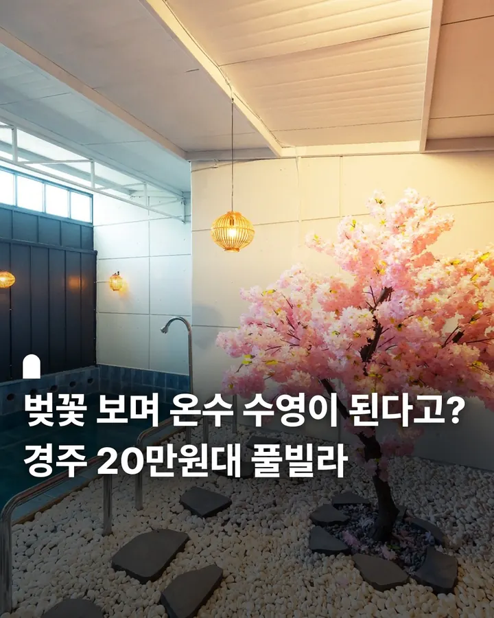 경주 당근료칸풀빌라 사진 1