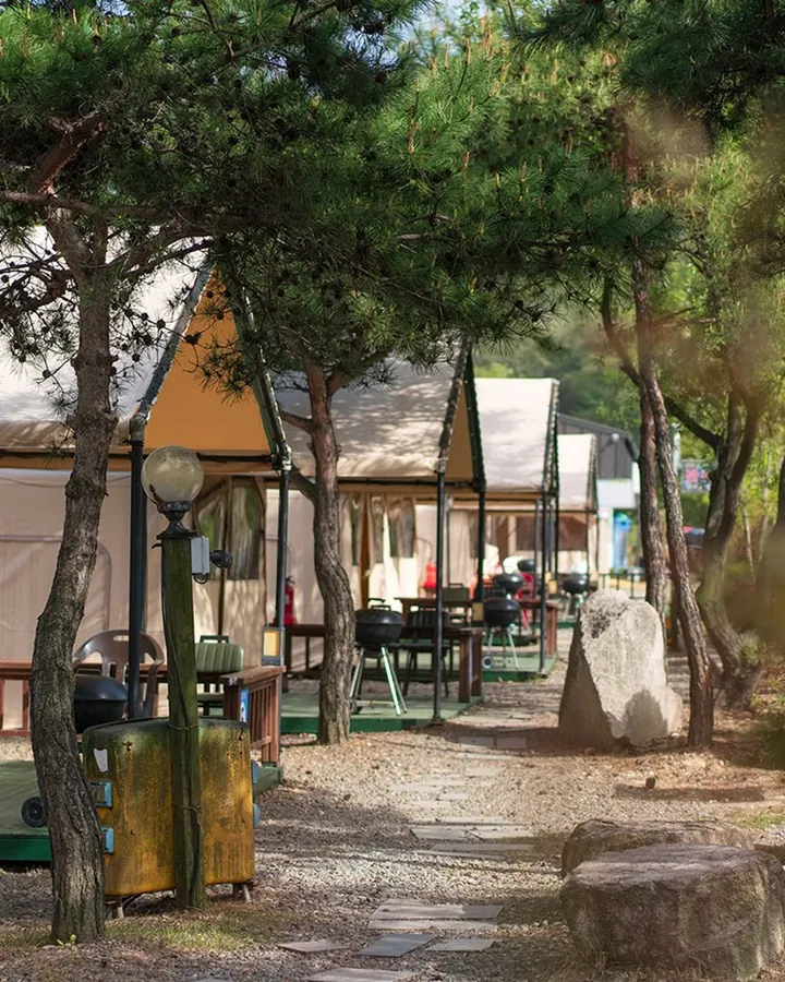 경주 별빛마루글램핑펜션 사진 6