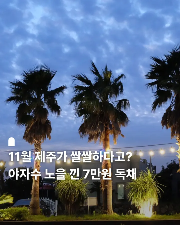 안녕감귤 제주독채펜션 사진 1