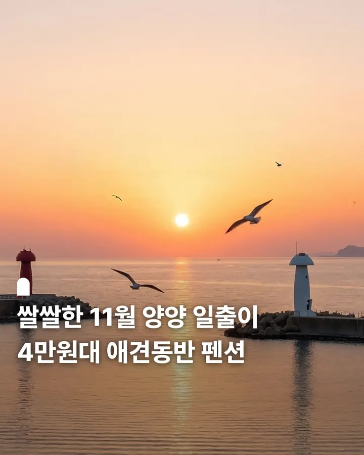 양양 아름다운바다 애견동반펜션 사진 1