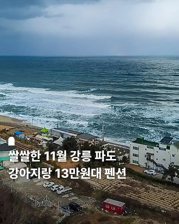 강릉 sea멍s애견펜션 사진 1