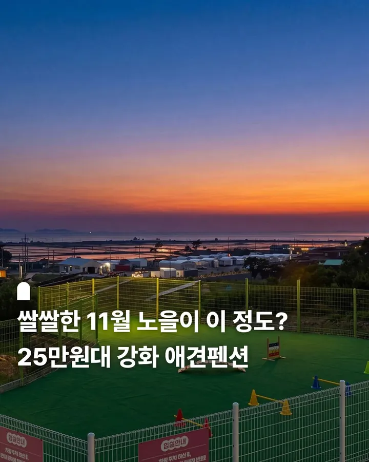 강화 멍멍포레스트 애견펜션 사진 1