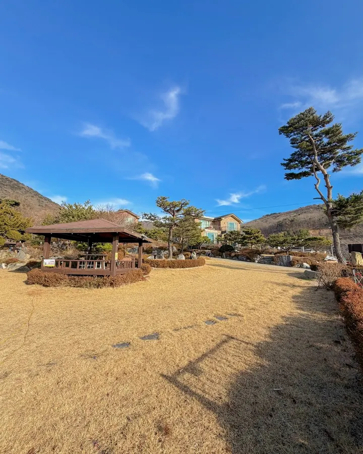 강화 멍멍포레스트 애견펜션 사진 3