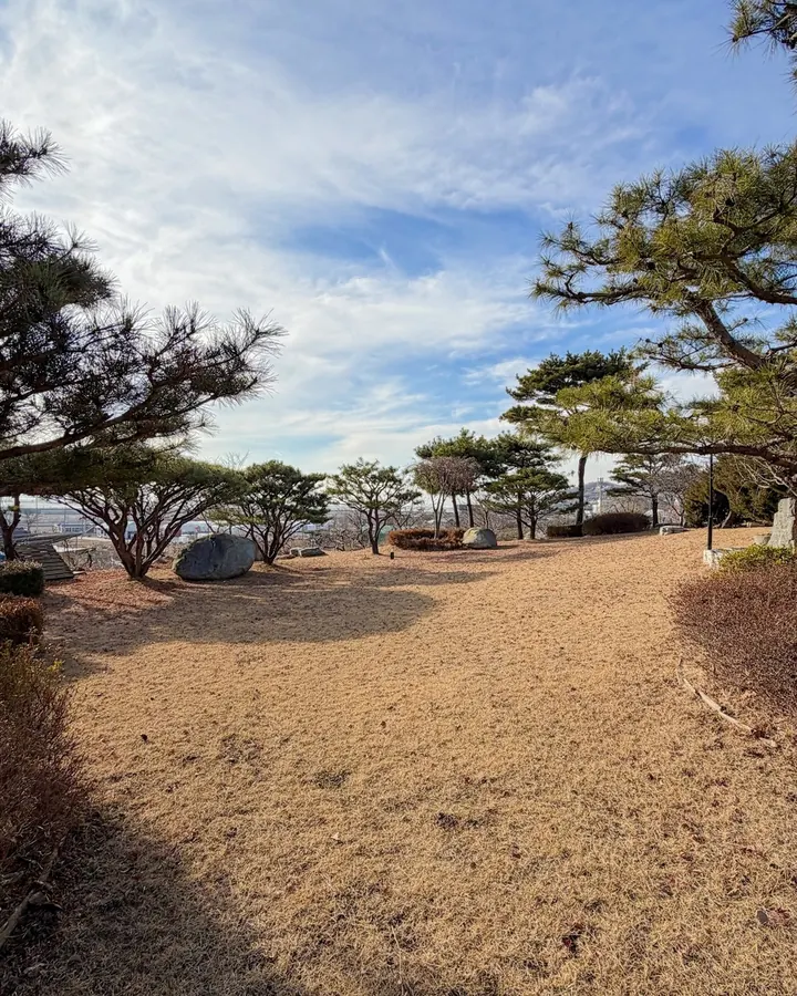 강화 멍멍포레스트 애견펜션 사진 4