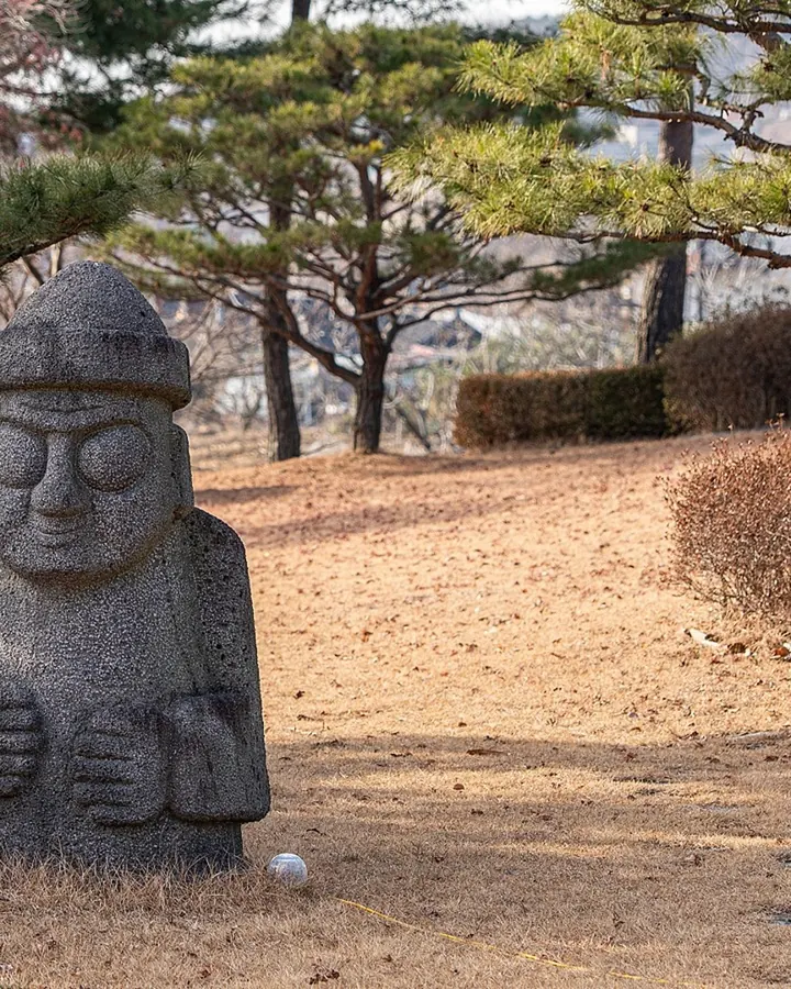 강화 멍멍포레스트 애견펜션 사진 14