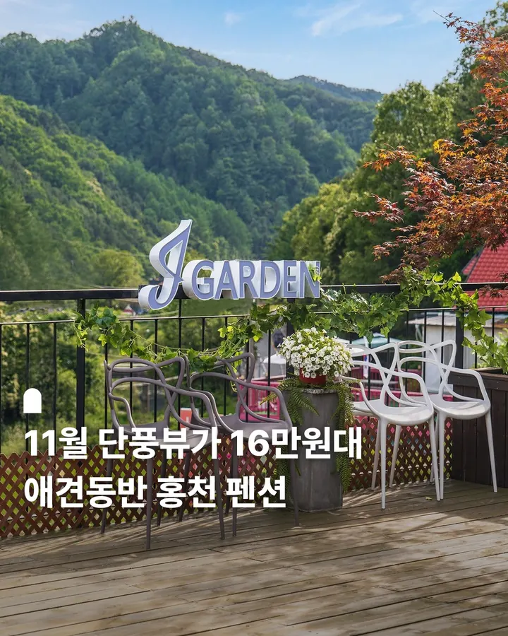 홍천 엘페로 애견펜션&리조트 사진 1
